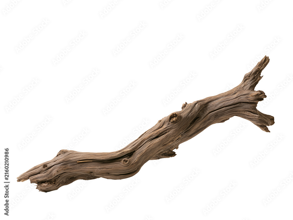 Fototapeta premium Natural Tree Branch Rustic Wooden Stick Isolated on Transparent Background