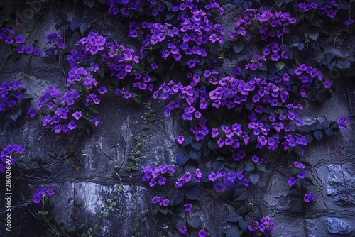 Purple flowers and vines growing on a gray stone wall create a beautiful natural backdrop