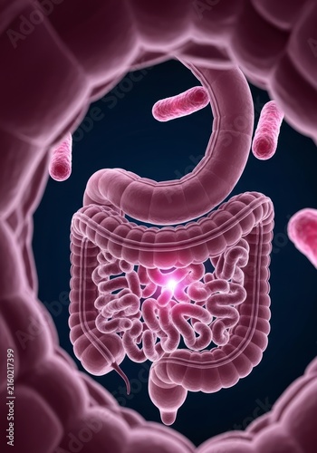 3D illustration of human intestine and gut bacteria. Microscopic view of digestive system anatomy and microbiome. Medical science concept for gastroenterology, health, and research.