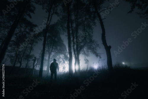 Fotografía Person silhouette in foggy night forest