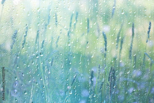 background of rain drops on glass, abstract summer grass and flowers in wet nature freshness