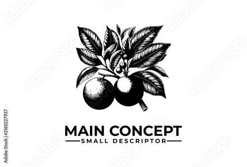 Orange fruit branch sketch logo template is displayed on a white background.