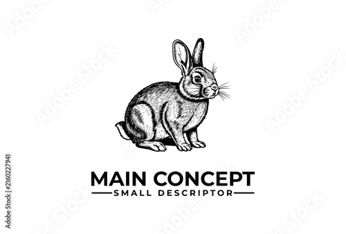 Rabbit sketch logo design elements are presented on a clean white background.