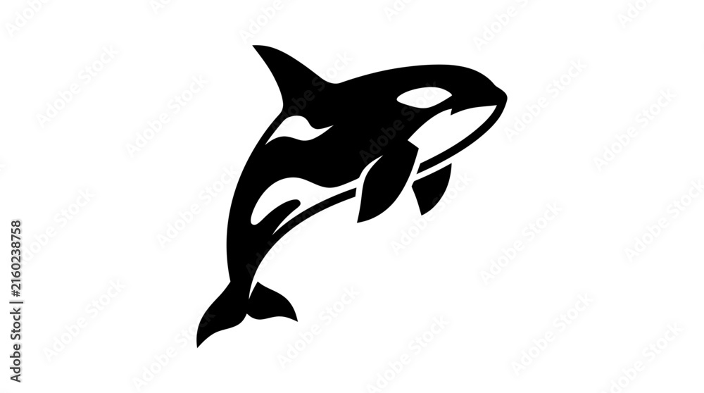Naklejka premium Black and white killer whale orca silhouette jumping from water.