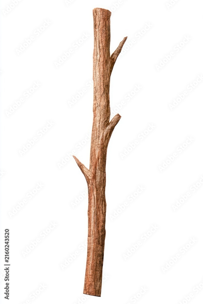 Fototapeta premium Isolated dry tree trunk with branches on white background