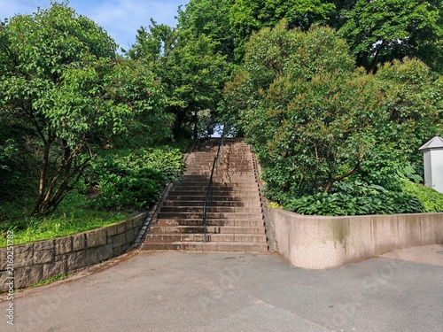 Stone garden steps leading through lush greenery to hidden park entrance in summer sunlight