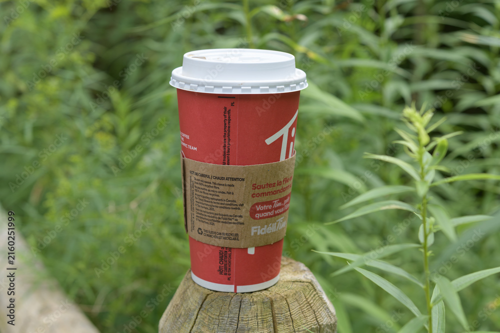 Fototapeta premium discarded Tim Hortons beverage cup on a post along a trail in the woods, Toronto