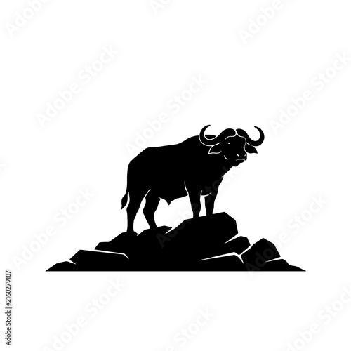 Photography Buffalo silhouette standing on a rock, wild animal vector illustration, black gr