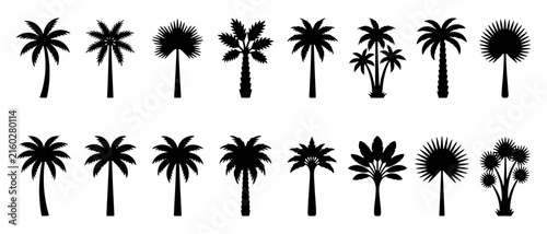 Palm tree silhouettes set including tropical coconut and fan palms for summer travel and beach theme.