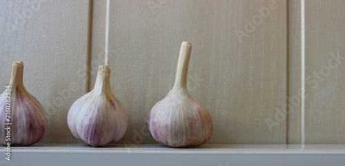 Three Garlic Bulbs in a Row on a Wooden Shelf With Copy Space at a Side of Image 
