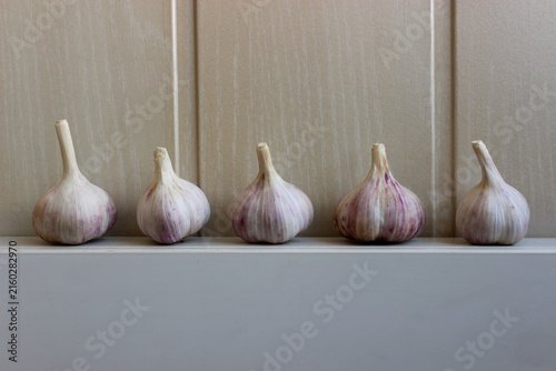 Five Whole Garlic Bulbs Lined Up on Shelf in Kitchen 
