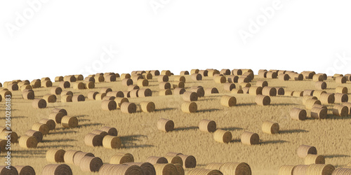 Hay bale field terrain isolated on transparent background. 3D rendering.