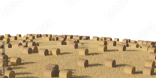 Hay bale field terrain isolated on transparent background. 3D rendering.
