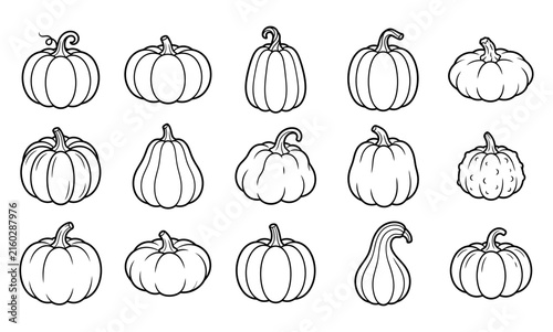 Set of various hand drawn pumpkin sketches isolated on a white background for autumn season design