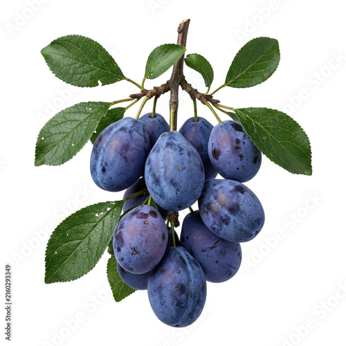 Fresh plums with leaves on a black background
