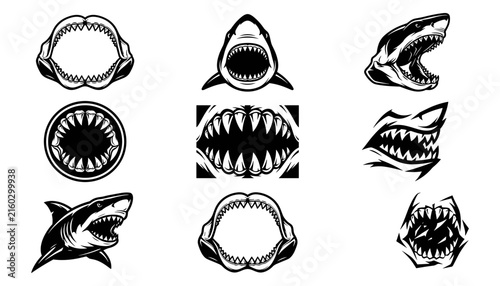 Shark Illustrations Set with Various Mouth and Head Shapes Featuring Sharks