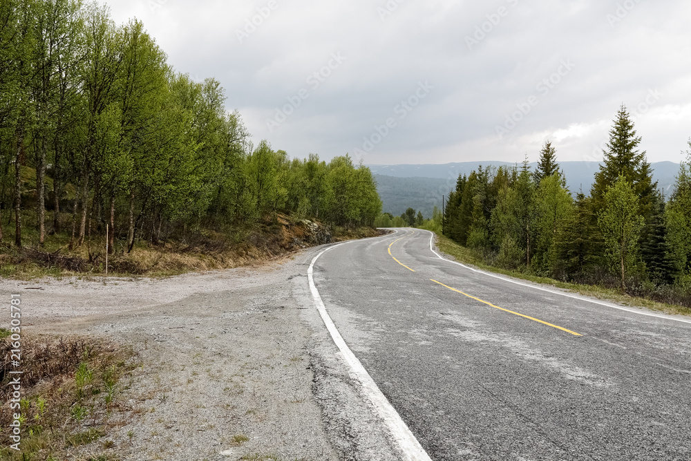 Fototapeta premium This empty mountain road in Norway is lined with rugged birch and pine forests