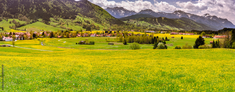 Naklejka premium Panorama Landschaft im Allgäu mit Frühlingswiesen und Blick über Trauchgau