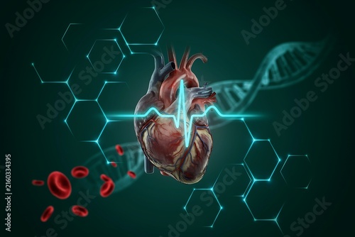 Scientific heart with heartbeat monitor high resolution picture
