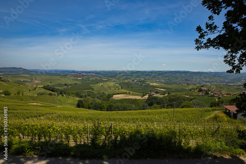 Piemont die Weinhügel um Barolo