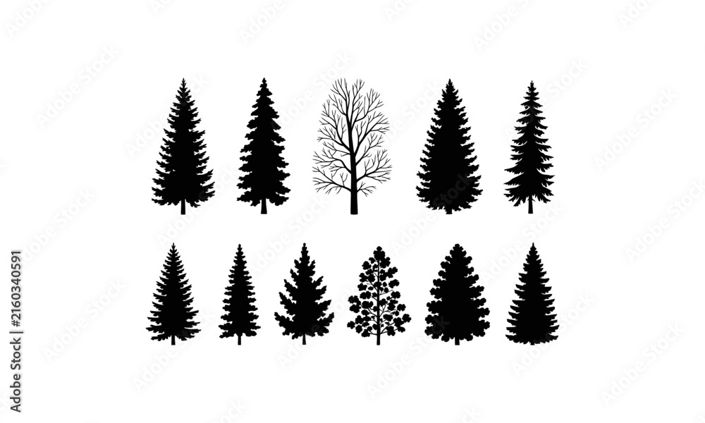 Obraz premium Black pine tree silhouettes on white background, minimalist