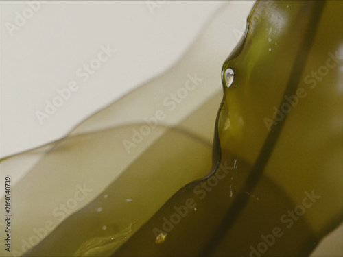 Fotografie Close-up of translucent olive green organic wavy textures with bright light refl
