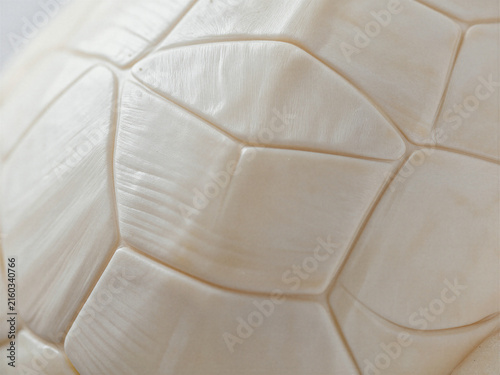 Quadro su tela Detailed Close-up of White Tortoise Shell Scutes Highlighting Natural Textures