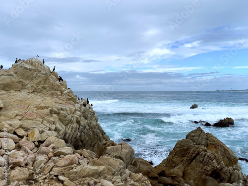 фотографія Birds on a rock by the Pacific Ocean shoreline at Pebble Beach