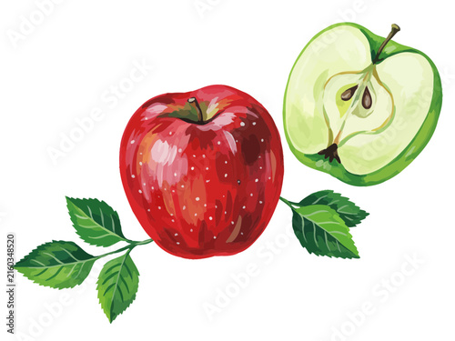 Fresh red apple with cut green apple showing inside isolated illustration