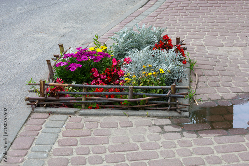 Принти на полотні A small decorative flowerbed filled with colorful flowers and silvery foliage is enclosed by a woven wooden fence