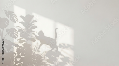 Playful Cat and Houseplant Leaf Shadows on a Clean White Wall