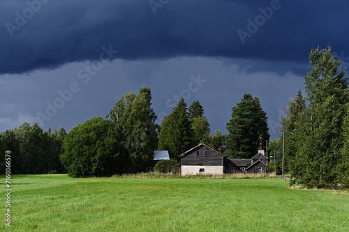 Rural landscape with an old traditional wooden farm building standing beside a green meadow and surrounded by birch and coniferous trees