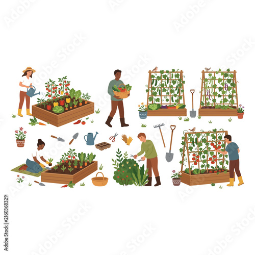 Diverse group of people working together in a community vegetable garden planting watering and harvesting fresh organic produce