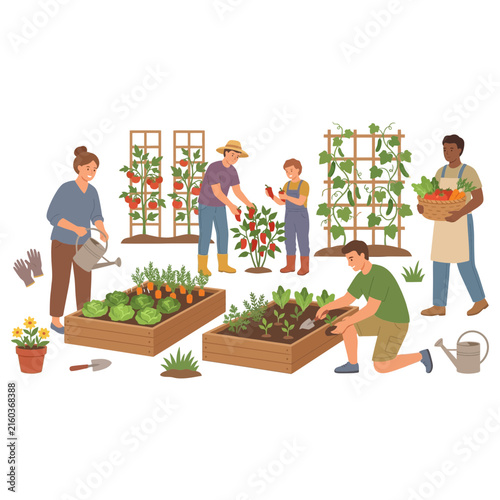 A diverse group of people working together in a community vegetable garden planting and harvesting fresh organic produce