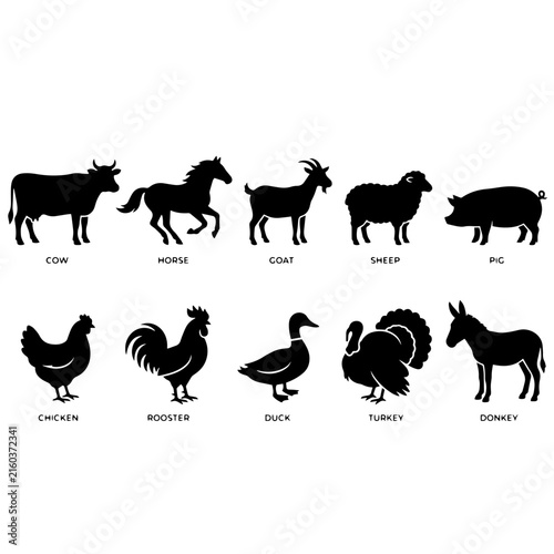 farm animals collection