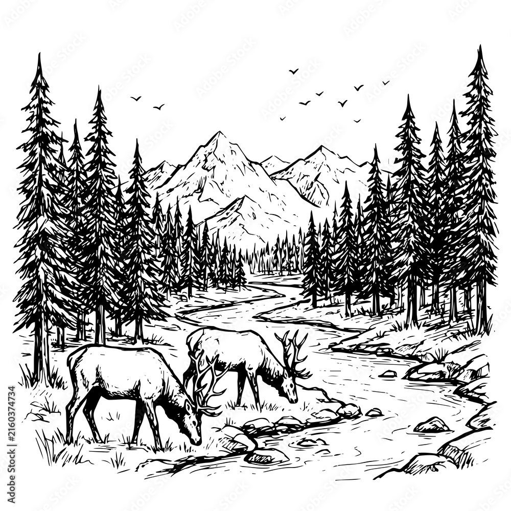 Obraz premium Black and white line of two elk grazing by a flowing river in a pine forest with tall mountains in the background scenery