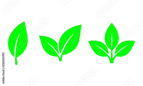 Green Leaf icon Set, Minimal Nature Plant leaves Logo Collection, Modern Symbol Set of Single one, two and three Fresh Organic Leaves Vector isolated on Transparent Png White background