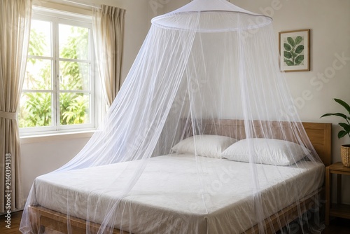 Mosquito Net Protection Concept