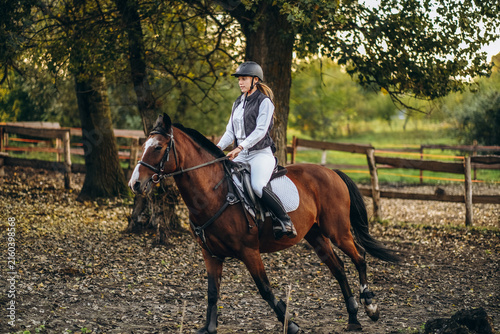 Konstfotografi A young beautiful woman jockey is preparing for a show jumping competition