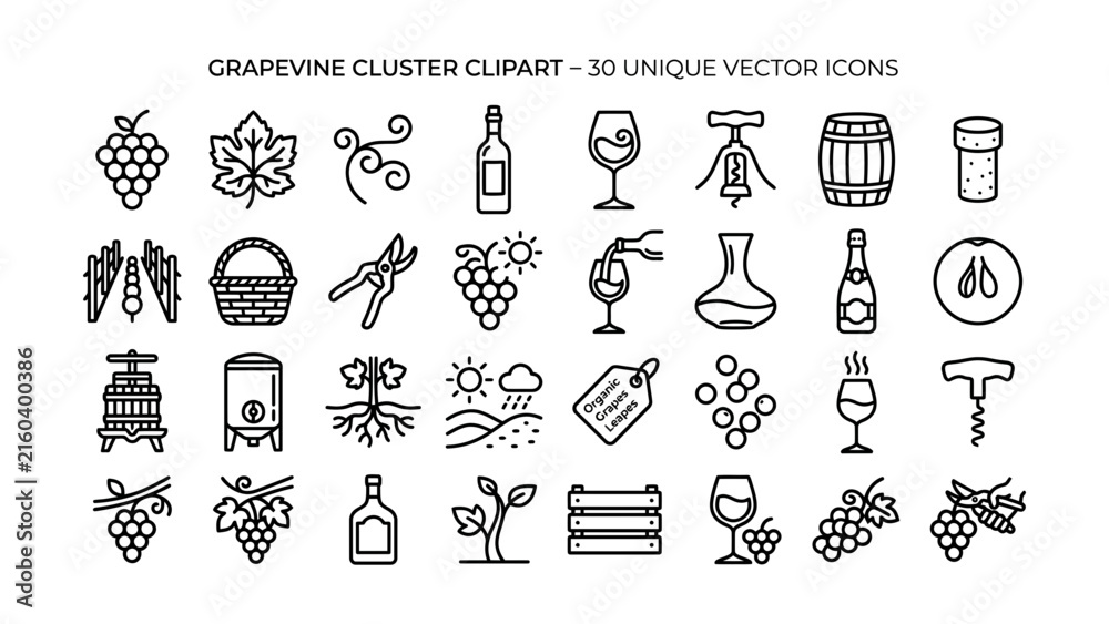 Fototapeta premium Set of thirty unique grapevine cluster and winemaking vector icons with transparent background