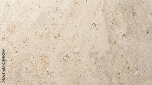Detailed limestone surface texture with natural patterns and variations