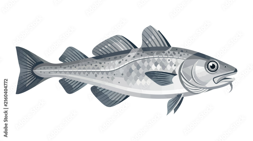 Fototapeta premium Detailed gray cod fish vector illustration isolated on white background