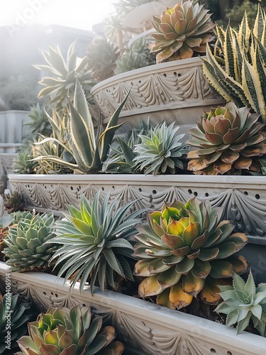 Tiered stone planter filled with diverse succulent plants and agave in bright sunlight.