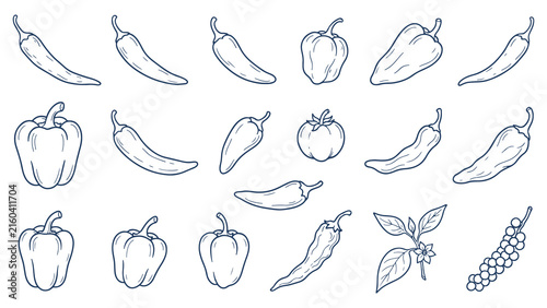Cuadro en lienzo Hand drawn chili and bell pepper line art vector icon set