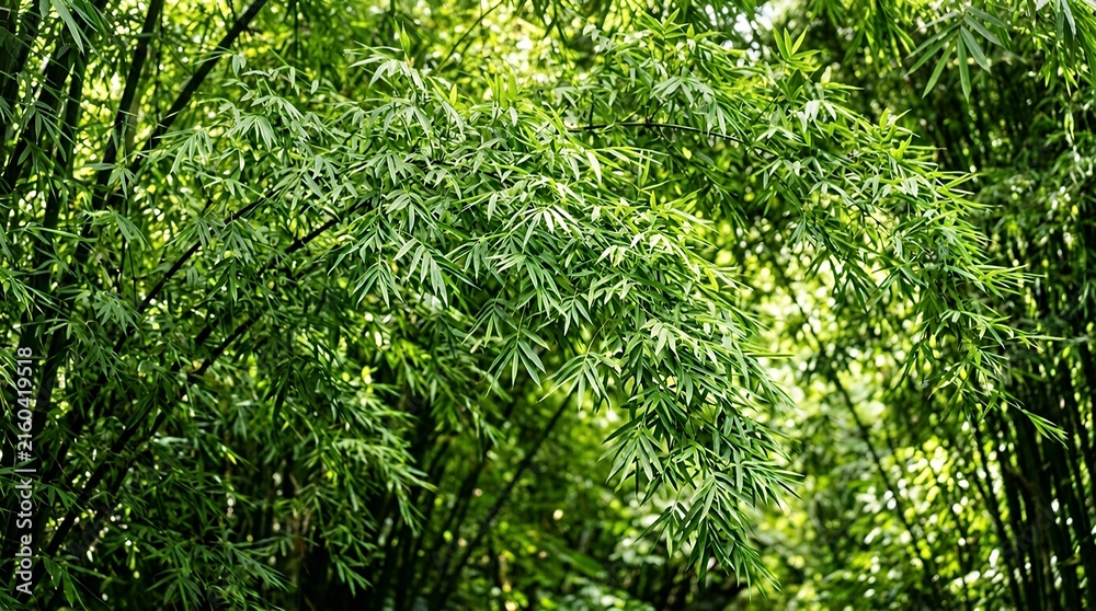 Fototapeta premium Full frame vibrant natural texture featuring a dense canopy of fresh green bamboo leaves hanging gracefully in a lush tropical grove green leaf background bamboo grove forest foliage nature plant