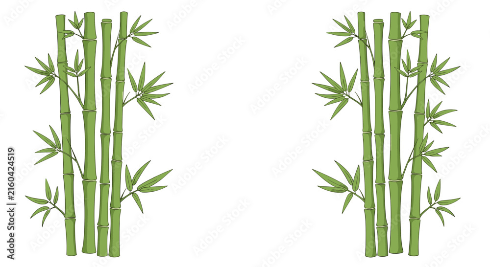 Obraz premium Green bamboo stalks with fresh leaves arranged on the sides of a white background creating a natural border frame.