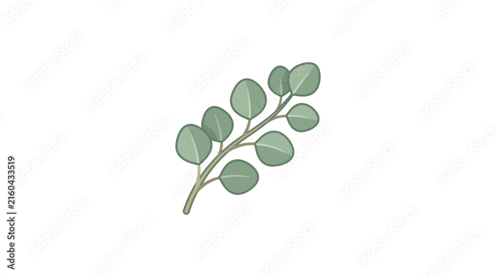 Obraz premium Diagonal eucalyptus branch with round leaves.