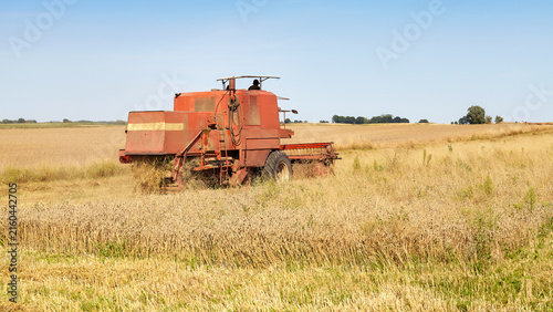Combine harvesting wheat on a sunny summer day.