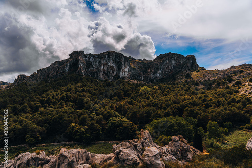 Fotografie rugged limestone mountains and dense mediterranean vegetation under dramatic clouds and blue sky in mallorca, spain