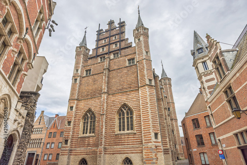 Antwerp town in Belgium, Europe. Historic European Architecture Grand View Medieval Brick Facade Church-like Structure Cityscape Old World Charm Travel Landmark Destination